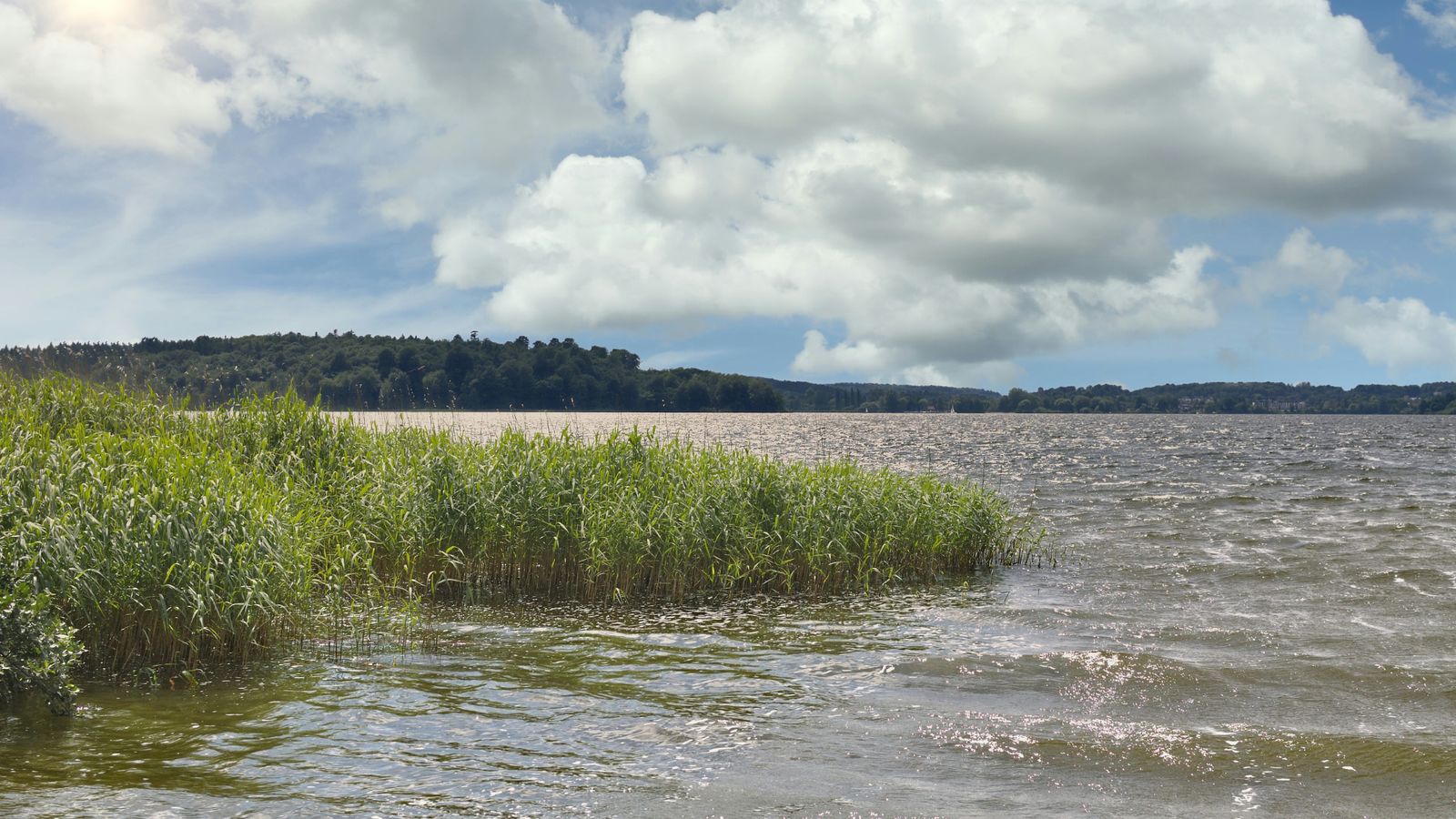 Hundefreundliche Ferienwohnungen / Ferienhäuser am Kellersee