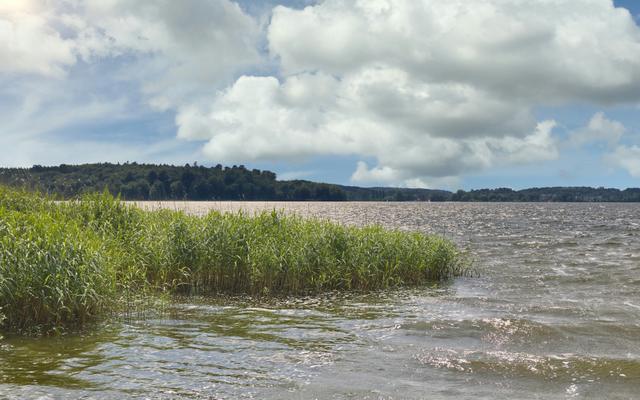 Hundefreundliche Orte in Malente
