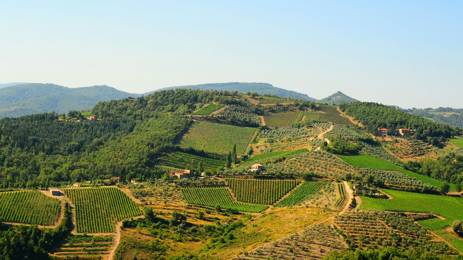Hundefreundliche Hotels in der Chianti-Region