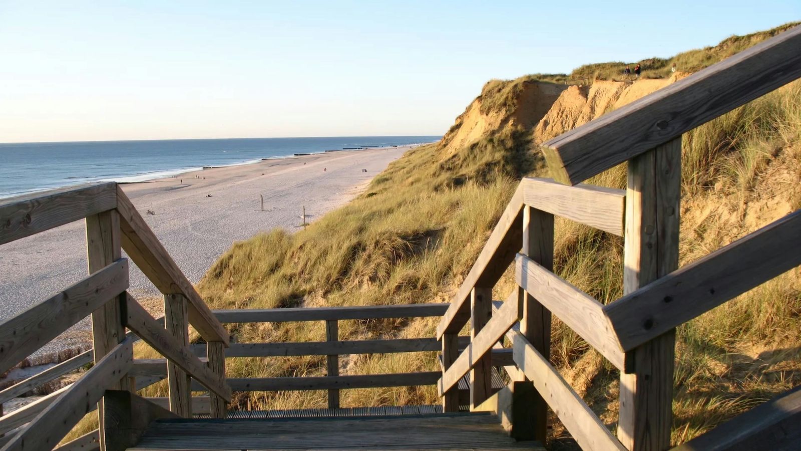 Hundefreundliche Campingplätze auf Sylt