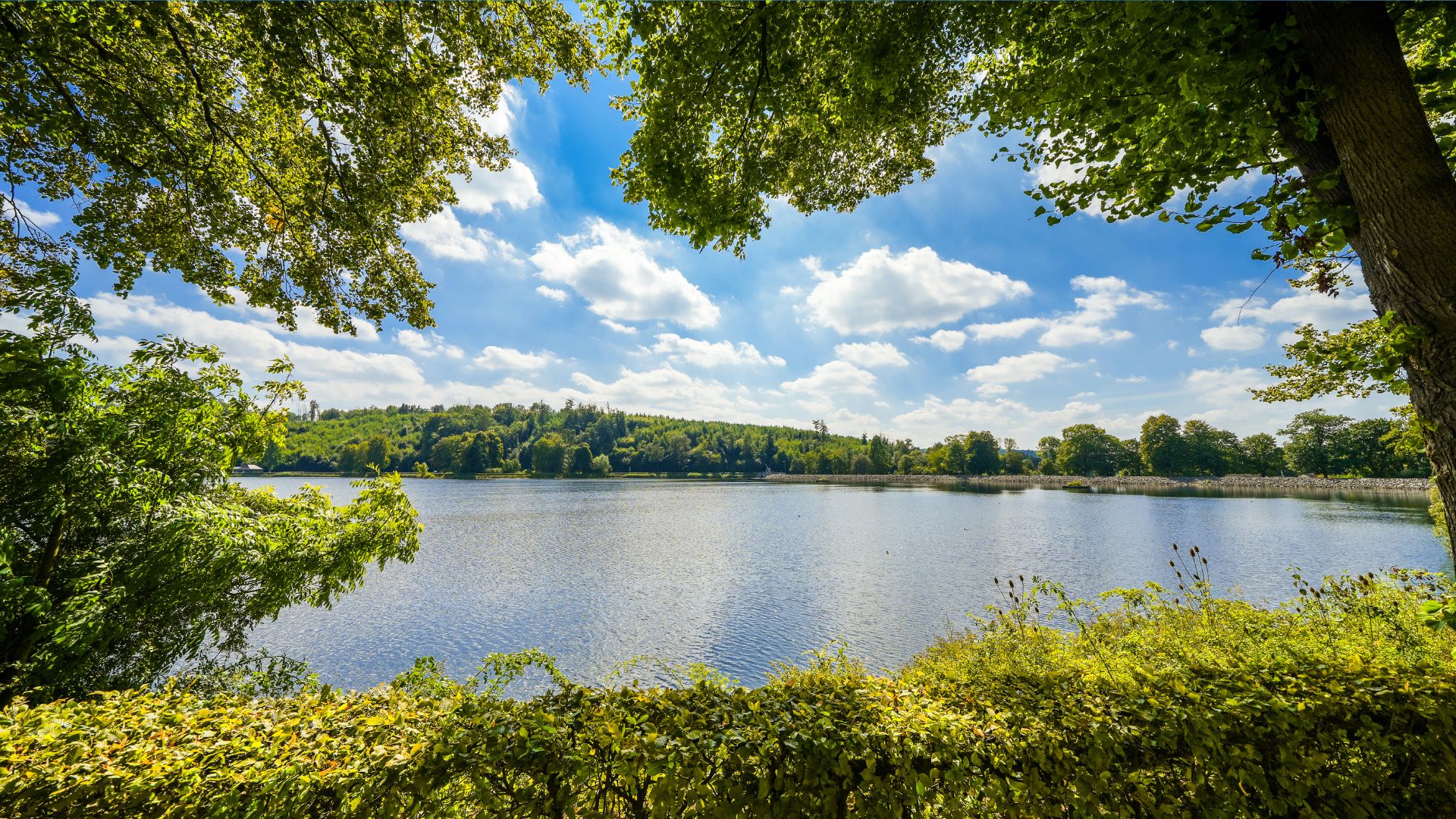 Hundefreundliche Orte in Möhnesee