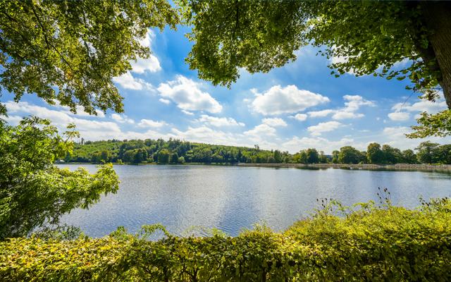 Hundefreundliche Orte in Möhnesee