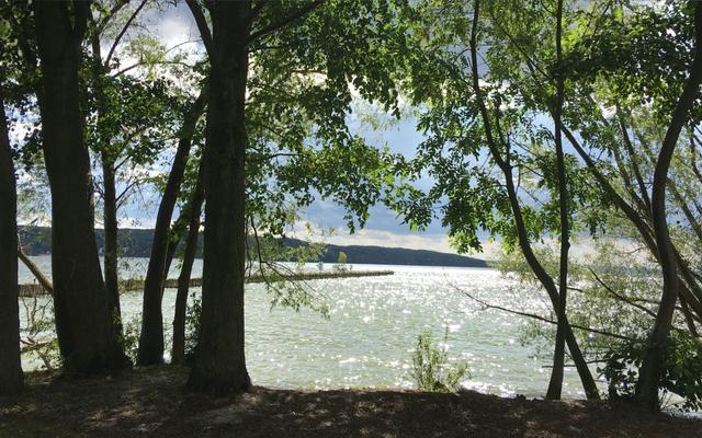 Hundefreundliche Orte in Wulkenzin