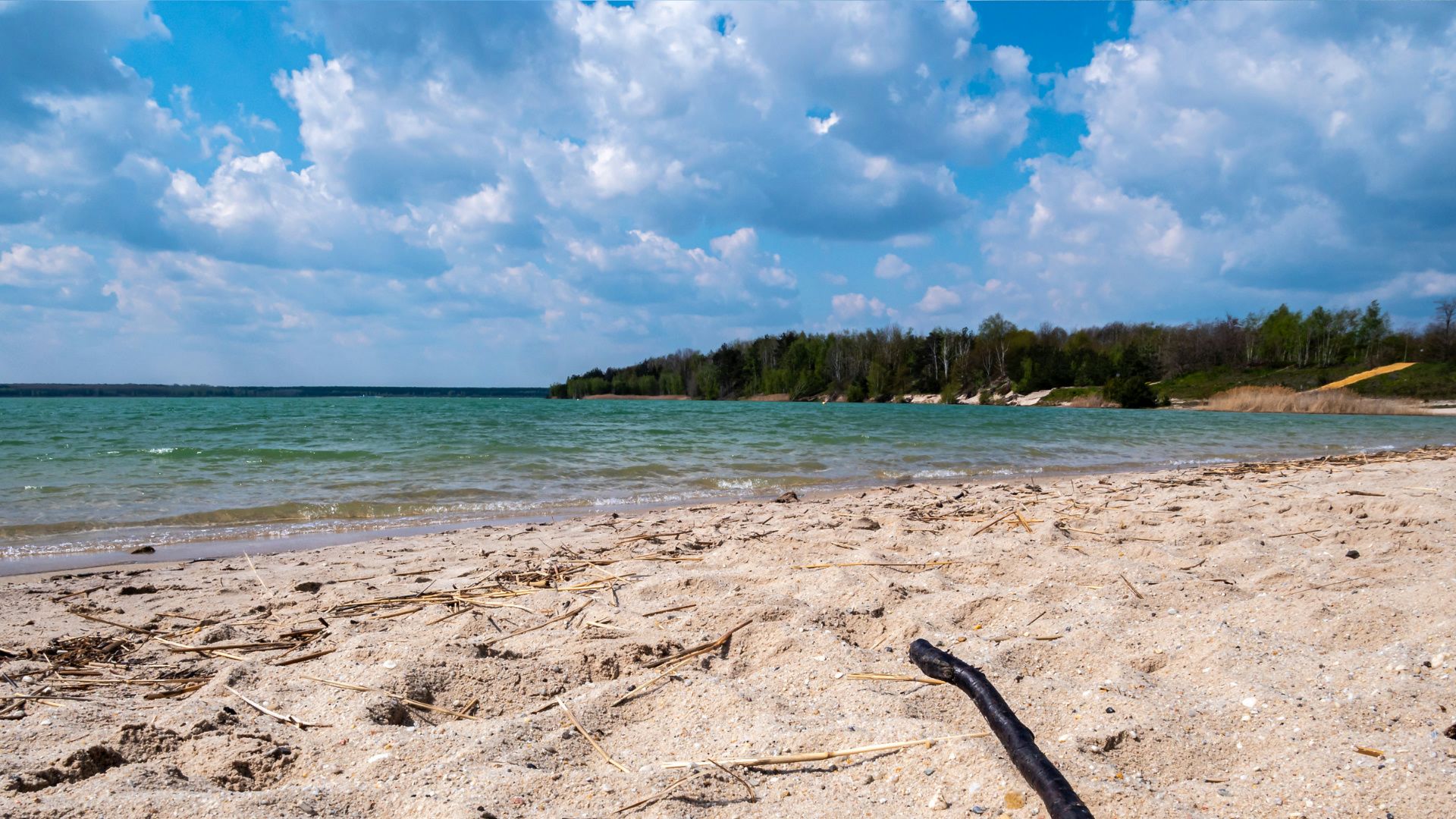 Hundefreundliche Hotels am Partwitzer See