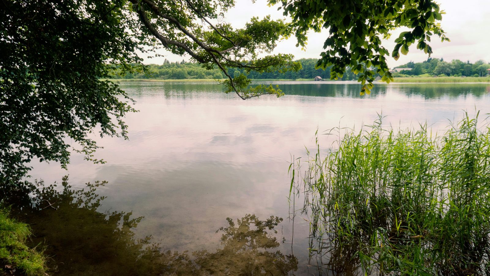 Hundefreundliche Campingplätze am Schaalsee