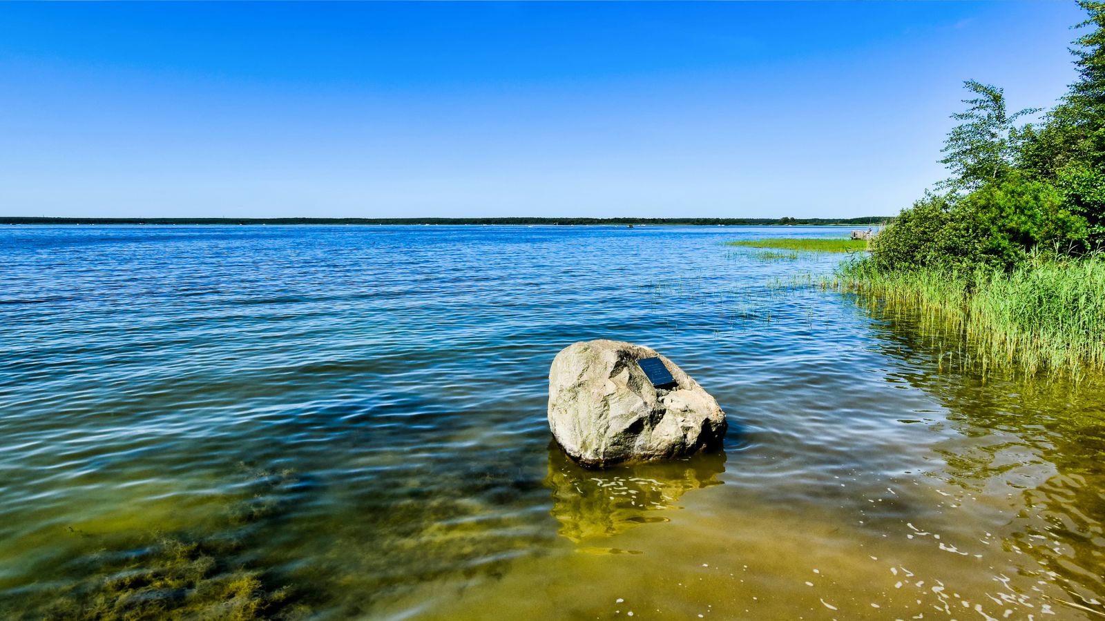 Hundefreundliche Campingplätze am Fleesensee