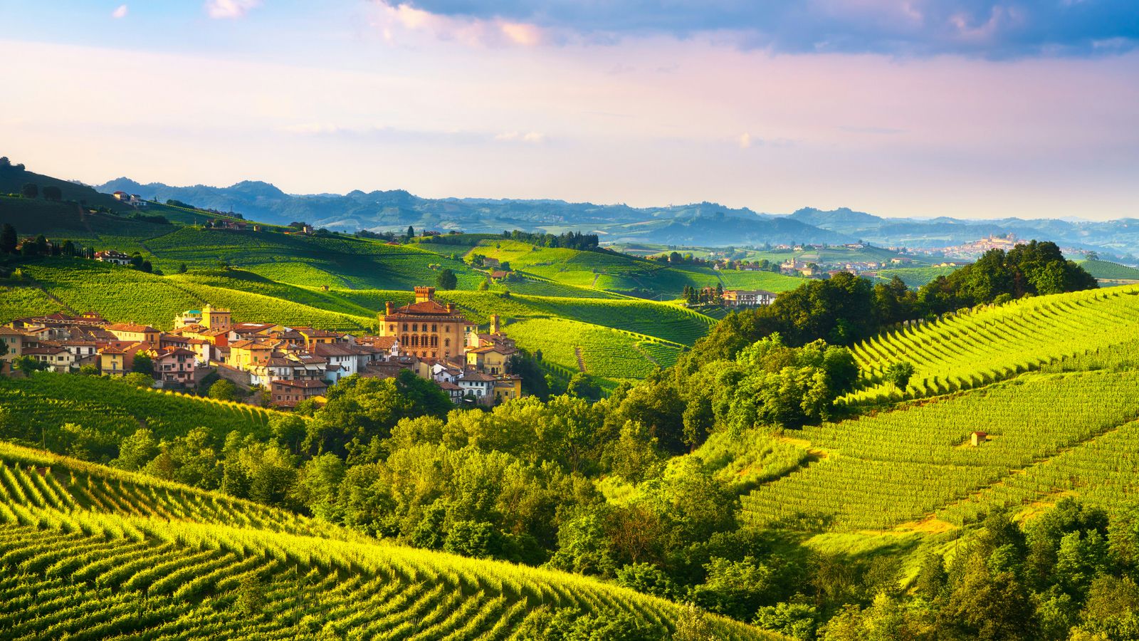 Hundefreundliche Hotels in der Langhe