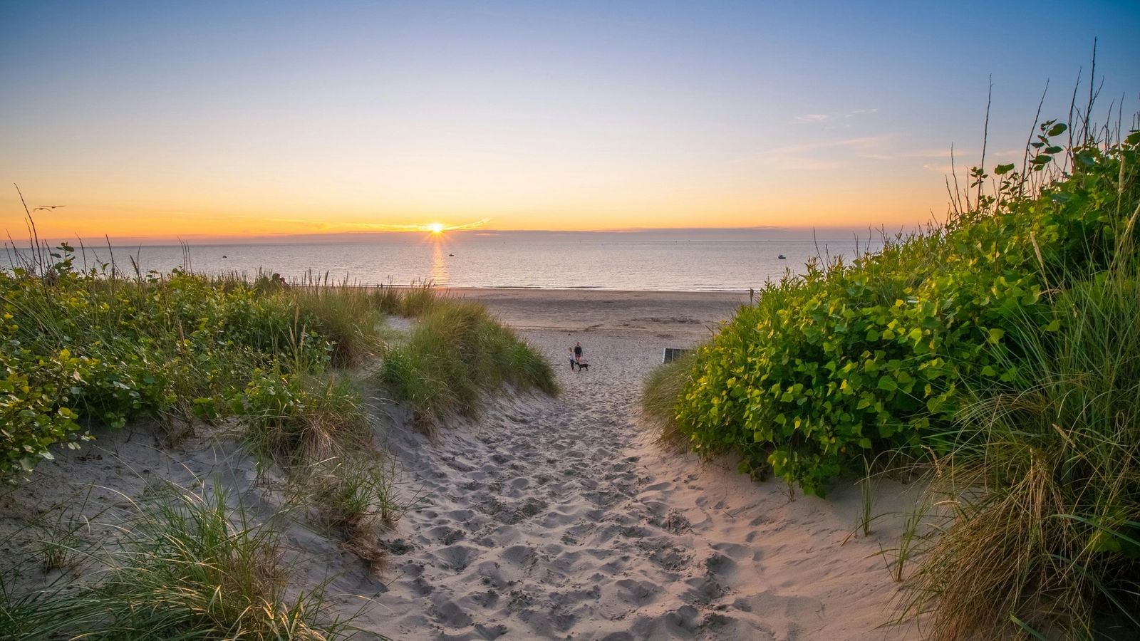 Hundefreundliche Campingplätze in Zeeland