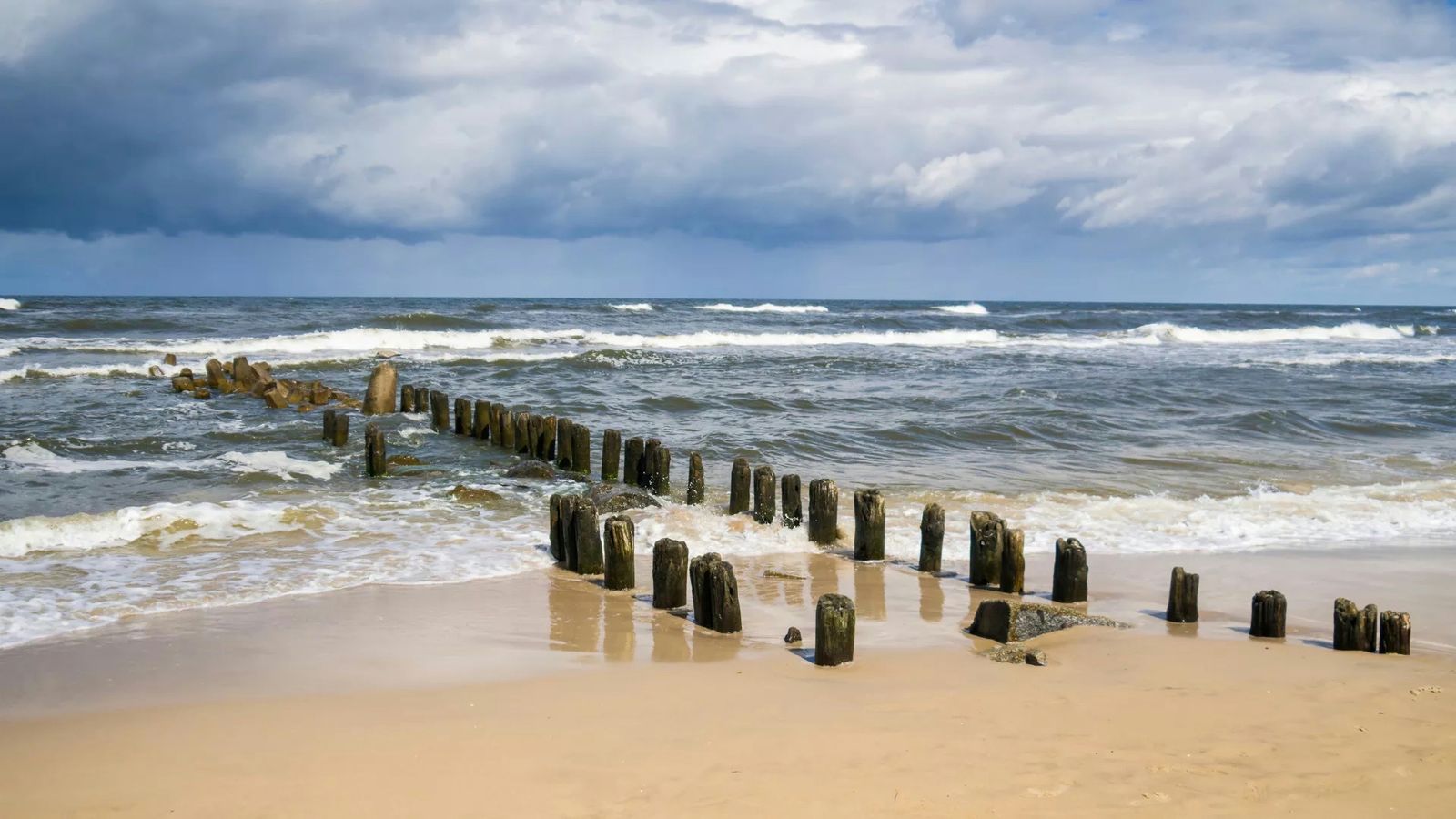 Hundefreundliche Campingplätze an der Ostsee