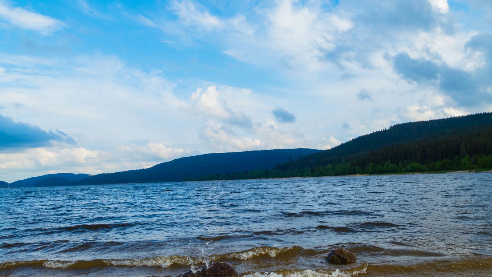 Hundefreundliche Campingplätze in der Schluchsee