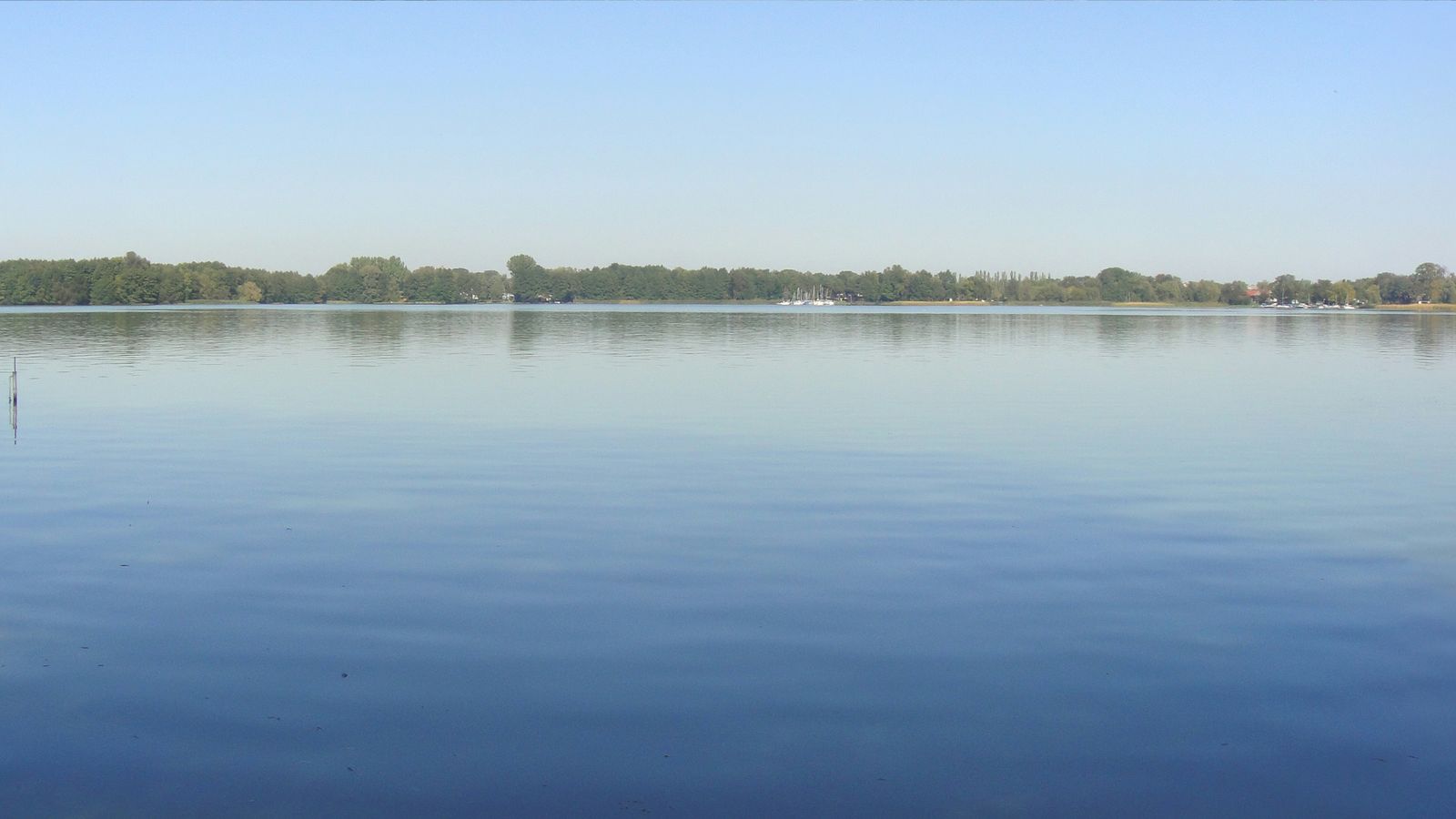 Hundefreundliche Hotels am Schwielochsee
