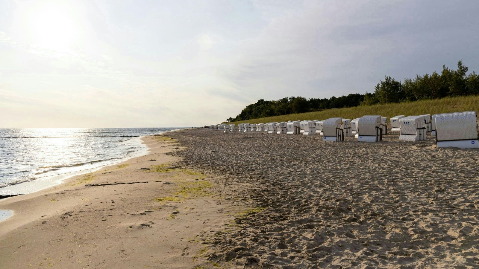 Hundefreundliche Campingplätze auf Usedom
