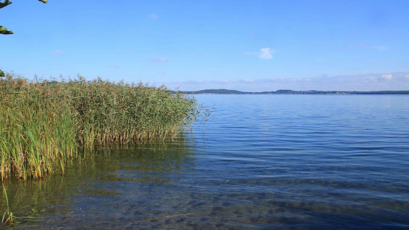 Hundefreundliche Campingplätze im Berzdorfer See