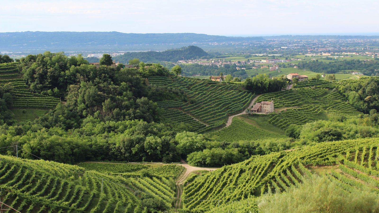 Hundefreundliche Hotels in der Prosecco-Hügel