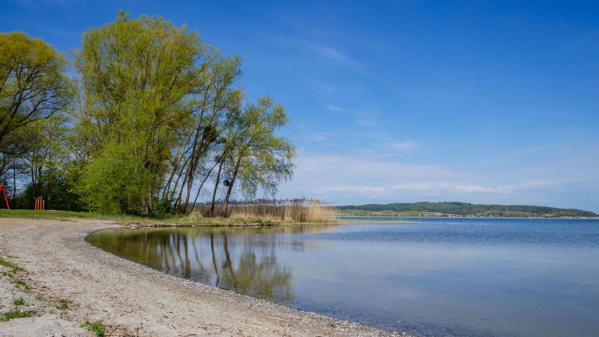 Hundefreundliche Hotels am Kummerower See