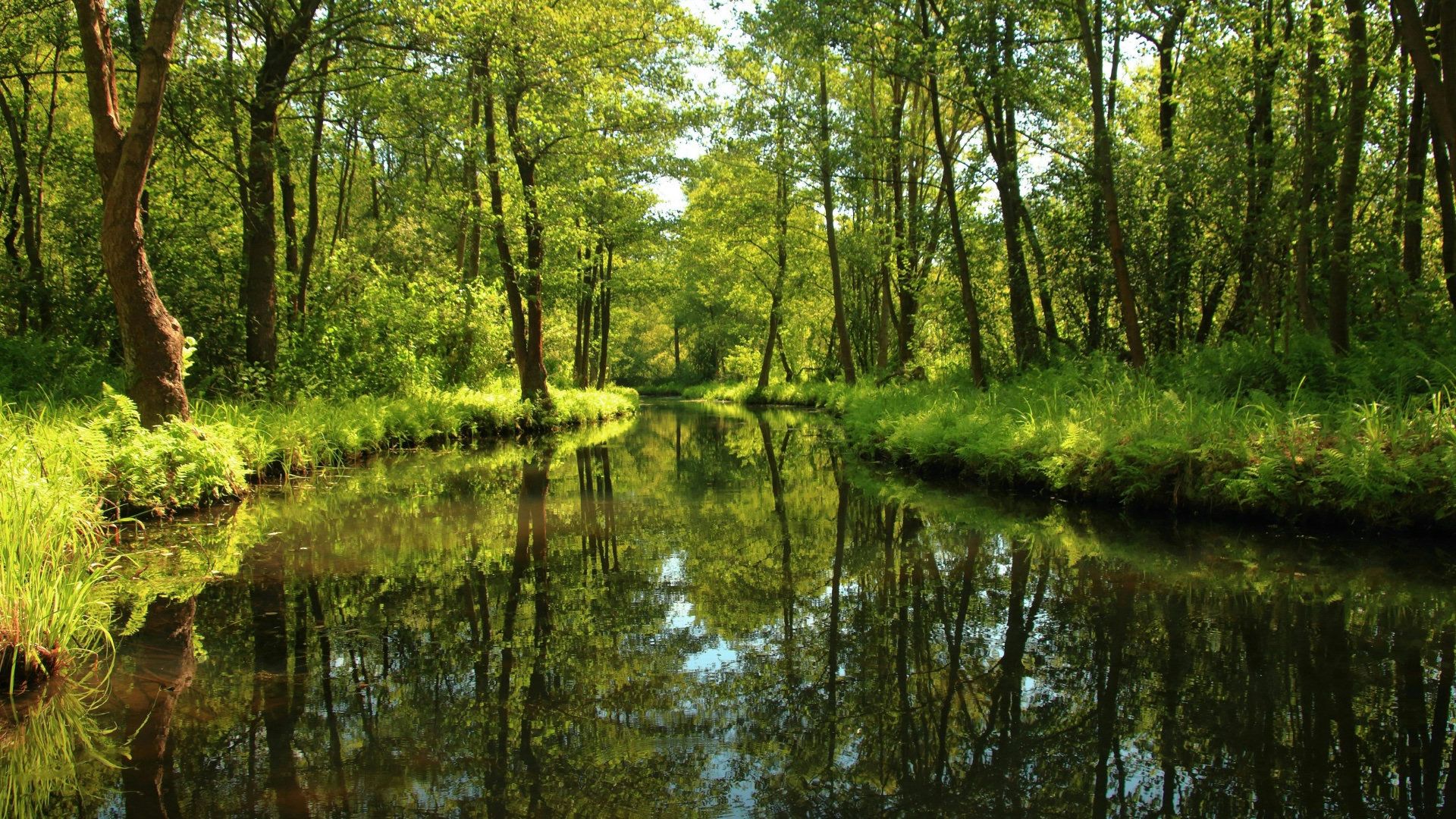 Hundefreundliche Orte in Löwenberger Land