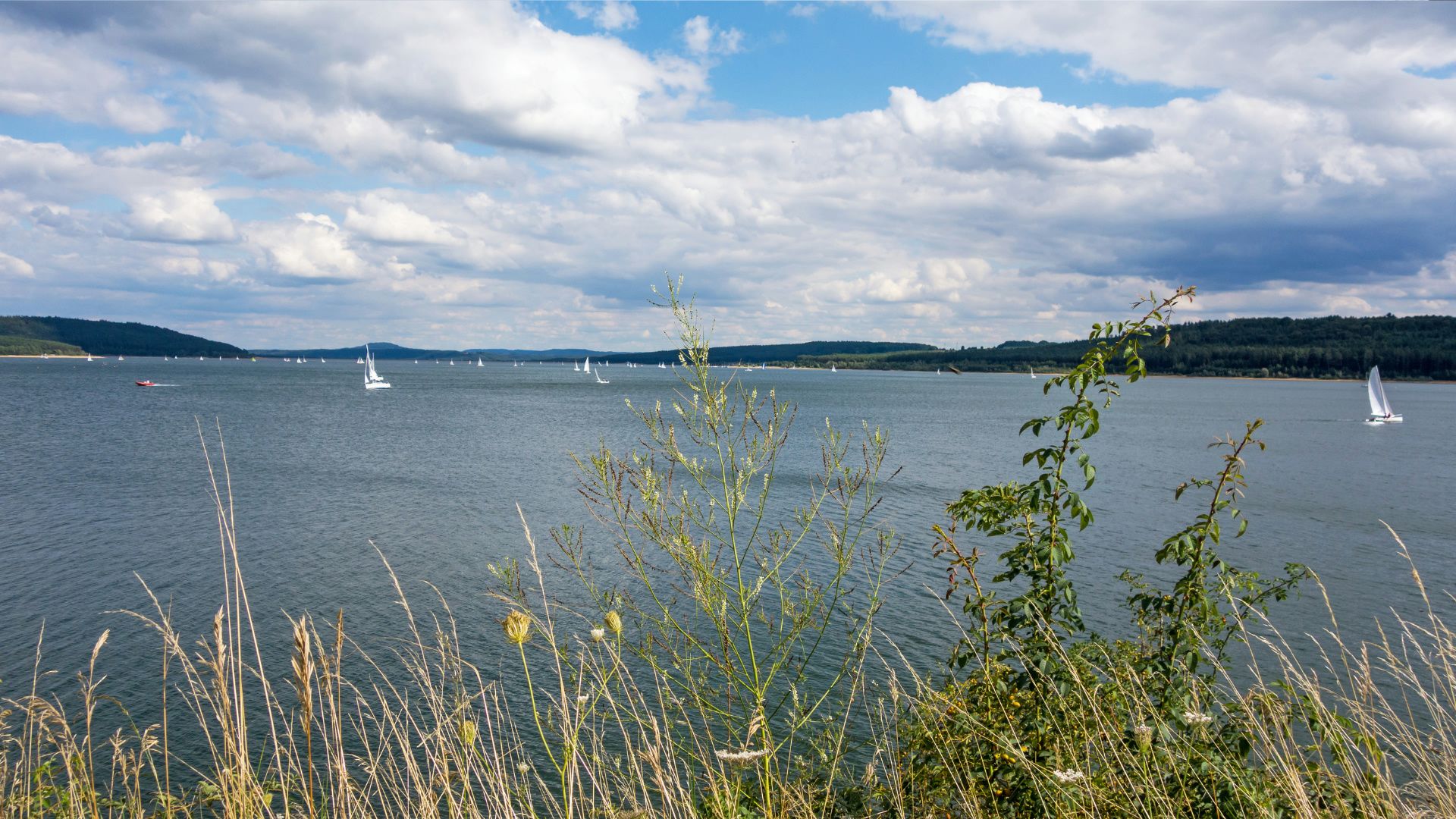 Hundefreundliche Campingplätze am Großer Brombachsee