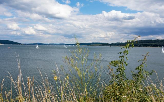 Hundefreundliche Orte in Pfofeld