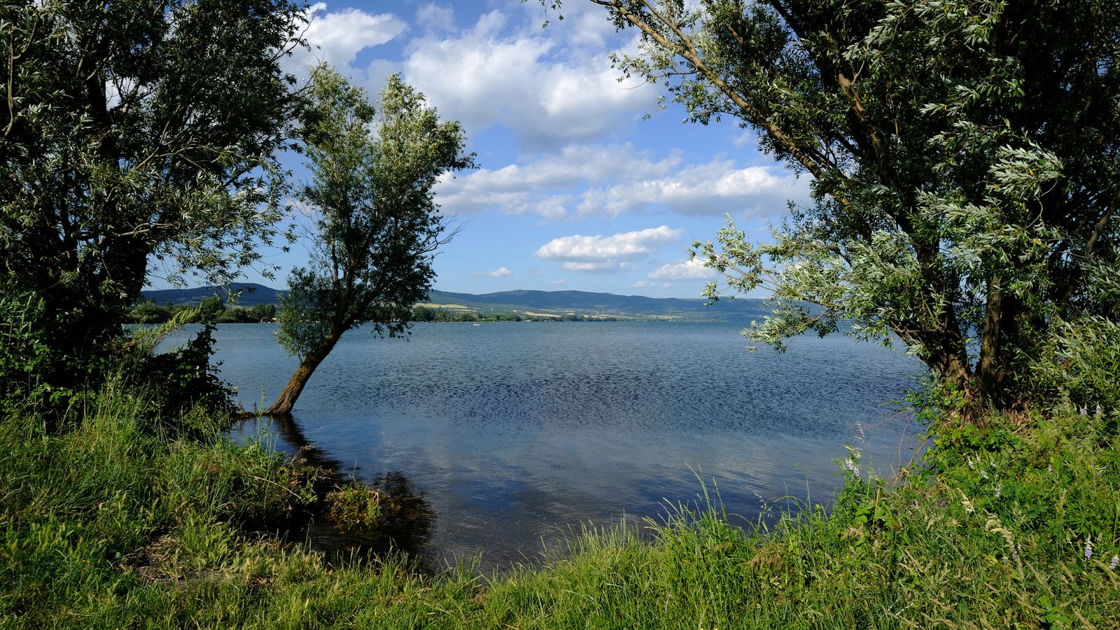 Hundefreundliche Campingplätze am Bolsenasee
