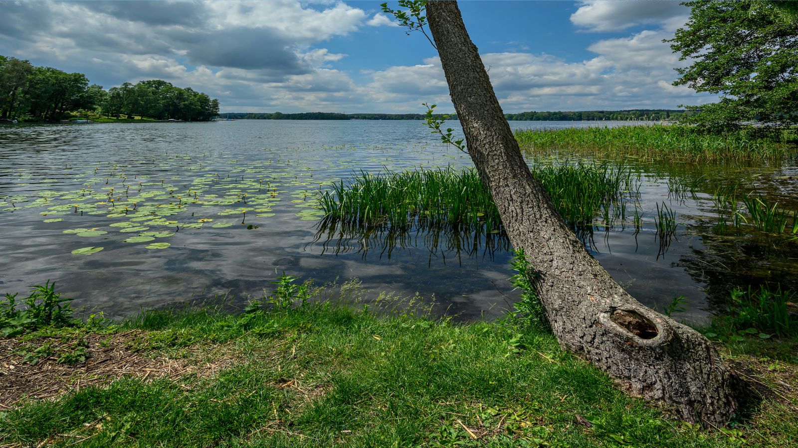 Hundefreundliche Hotels am Scharmützelsee