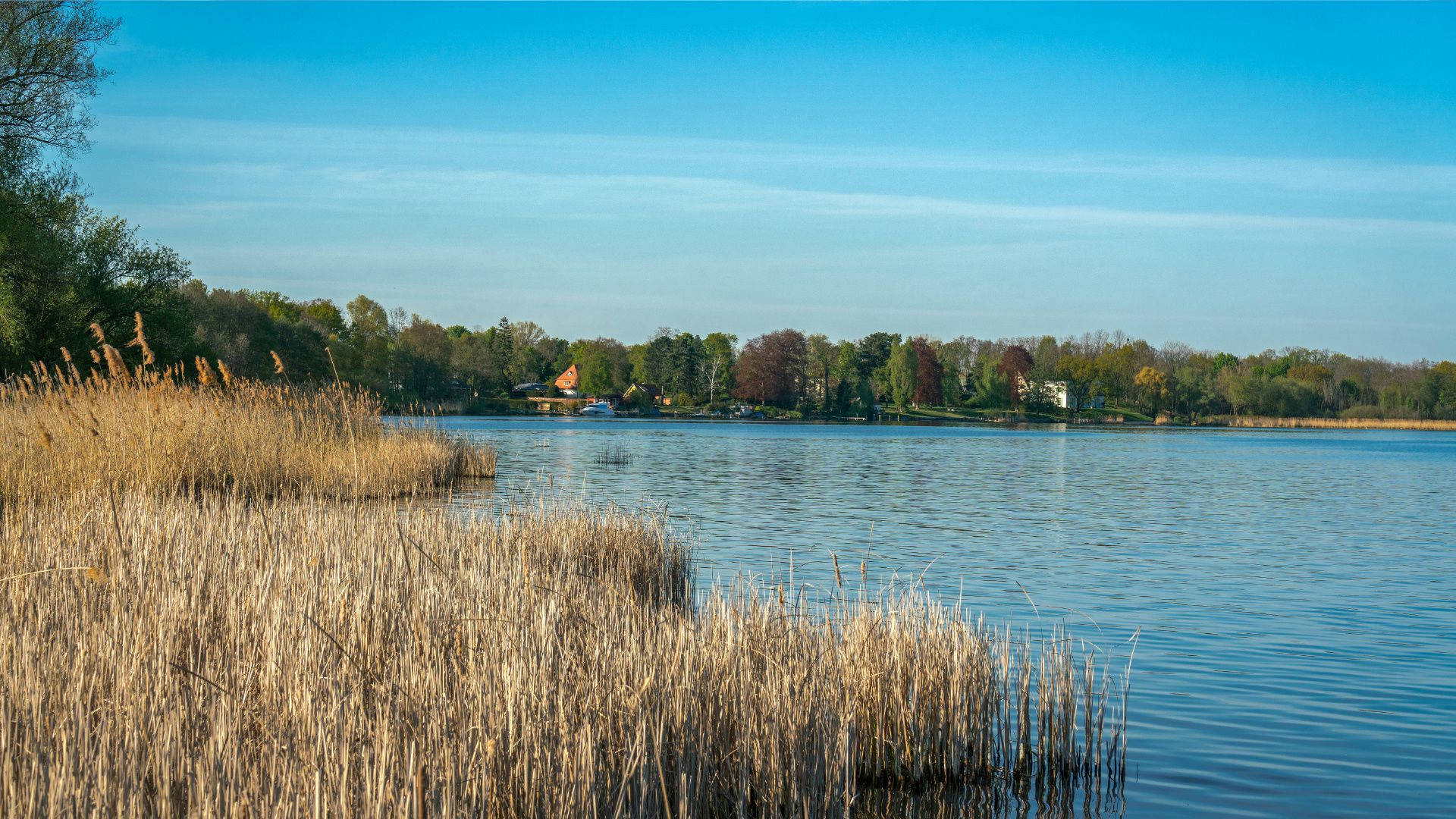 Hundefreundliche Orte in Michendorf