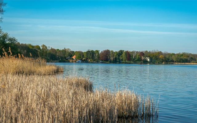 Hundefreundliche Orte in Michendorf