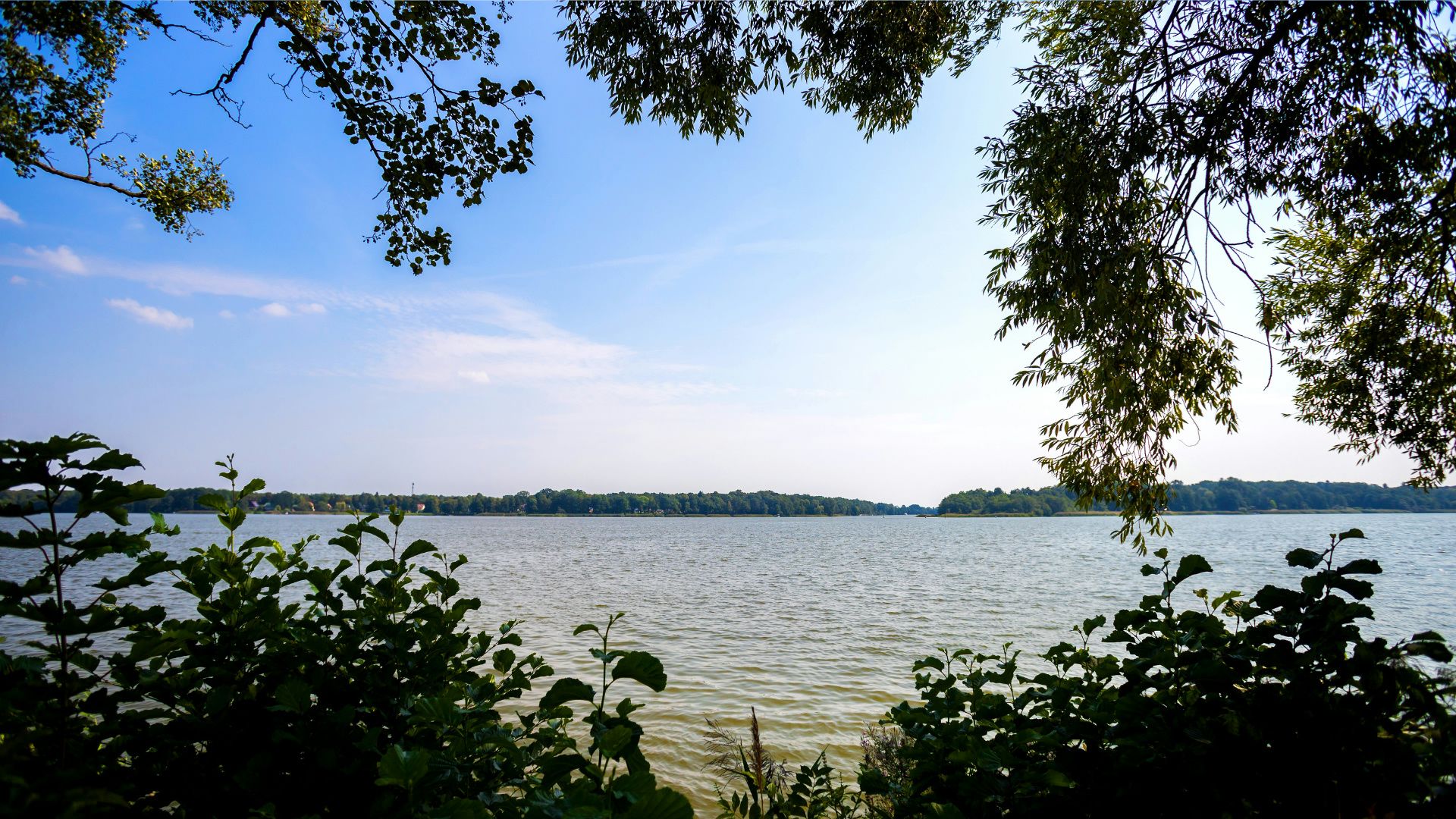 Hundefreundliche Hotels am Ruppiner See