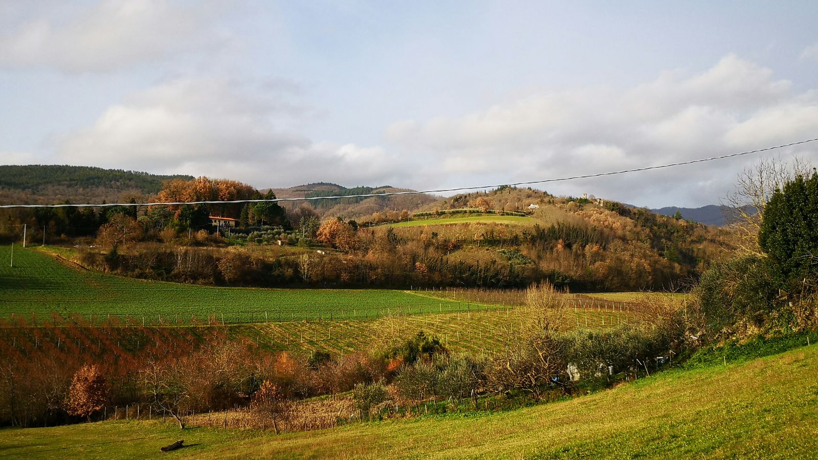 Hundefreundliche Campingplätze in der Mugello