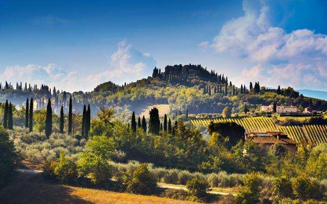Hundefreundliche Orte in Grosseto