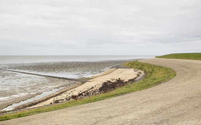 Hundefreundliche Orte in Wangerland