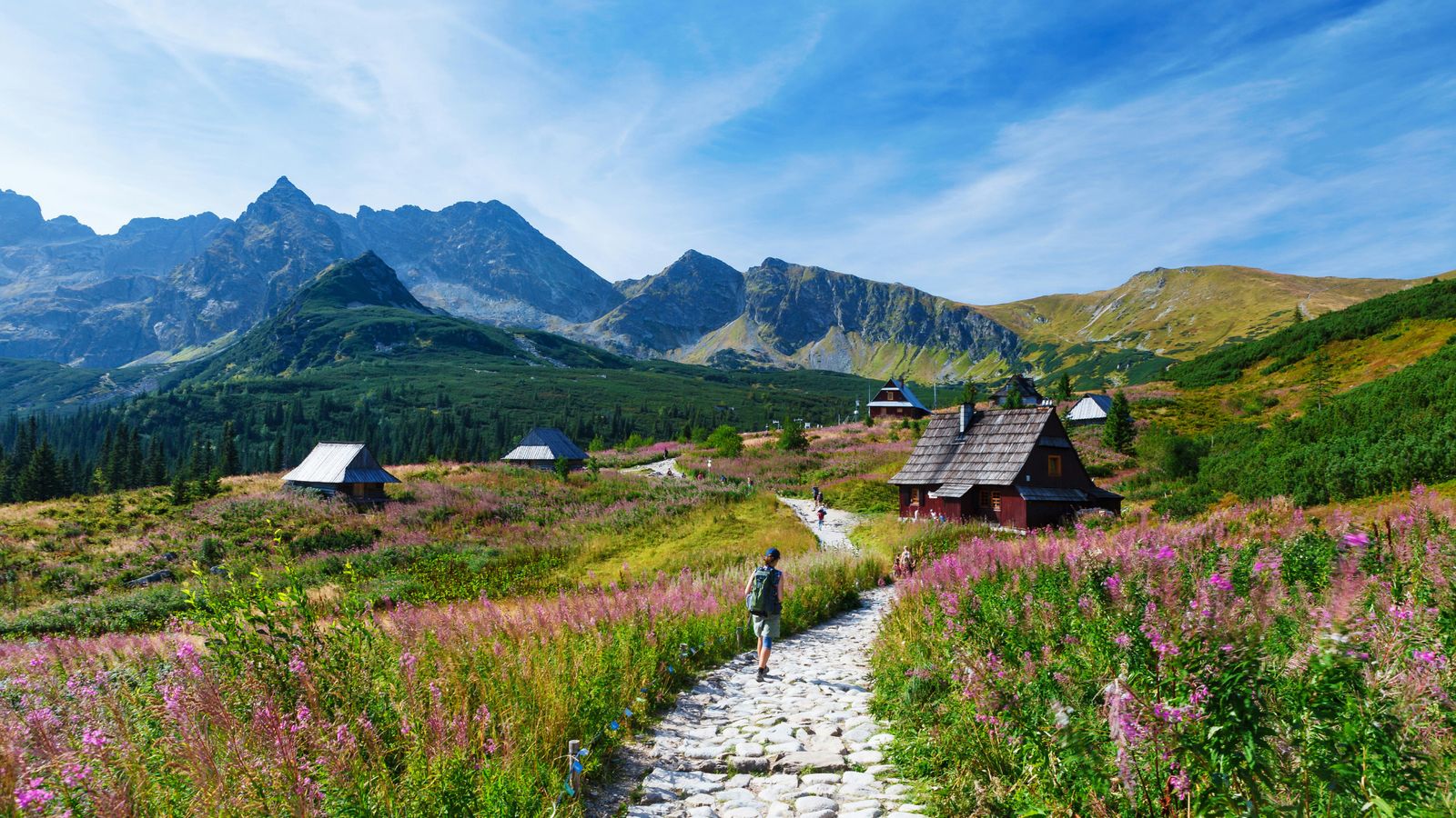 Hundefreundliche Hotels in Polen
