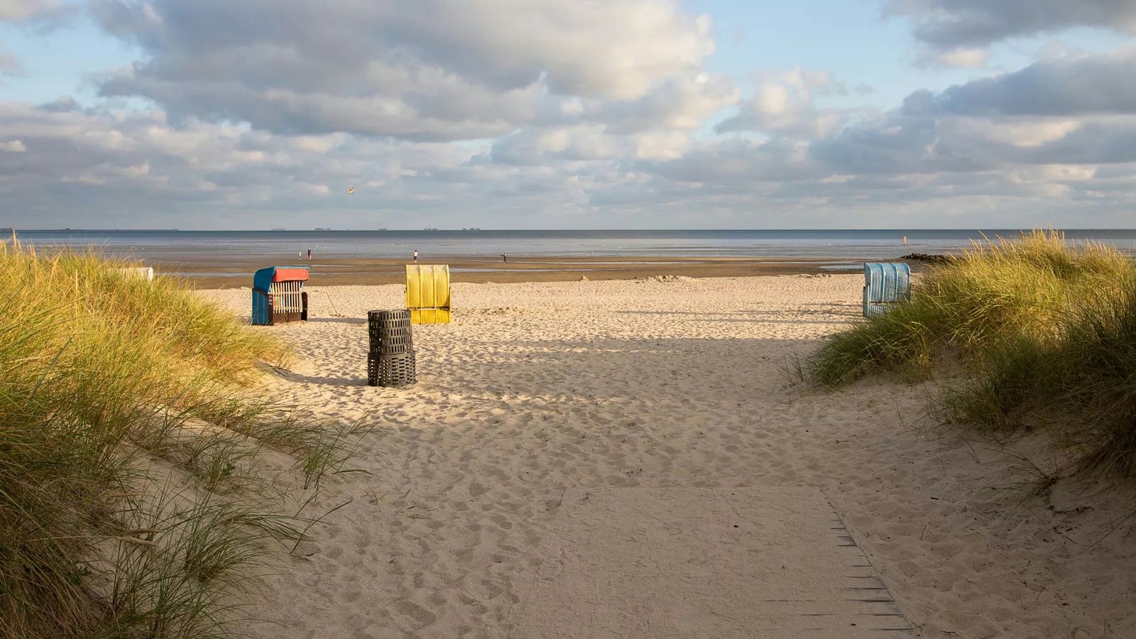 Hundefreundliche Campingplätze auf Föhr