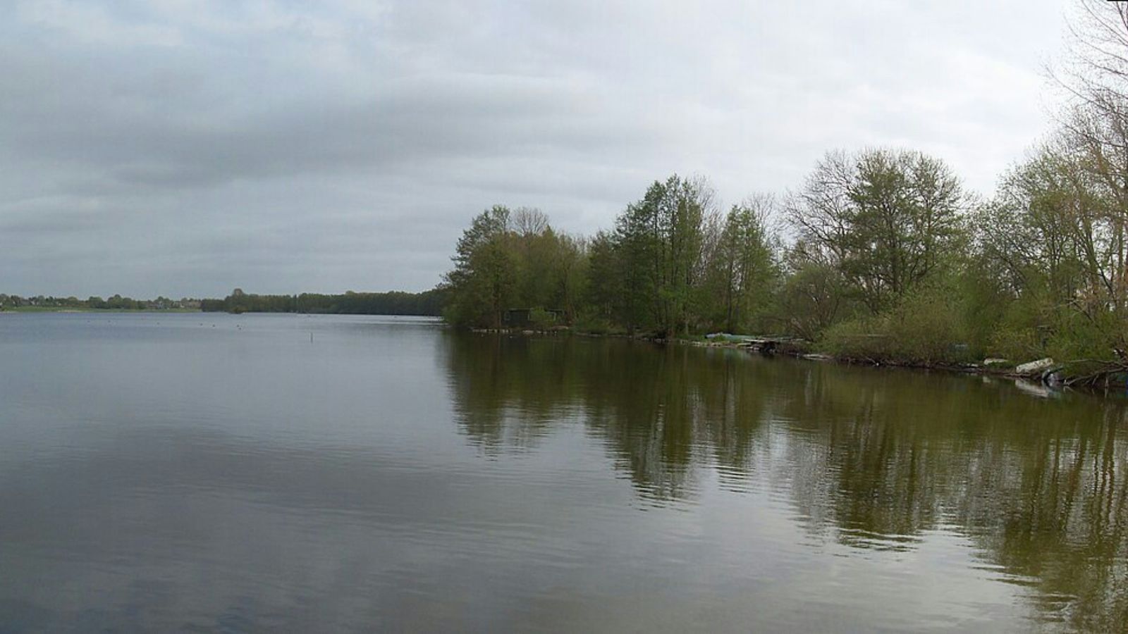 Hundefreundliche Ferienwohnungen / Ferienhäuser am Wittensee