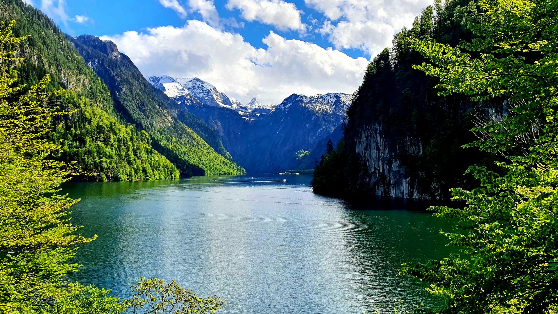 Hundefreundliche Campingplätze am Königssee