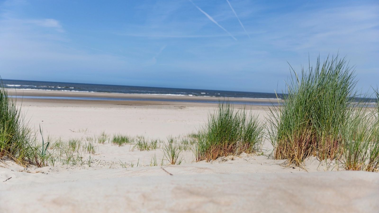 Hundefreundliche Hotels auf Norderney