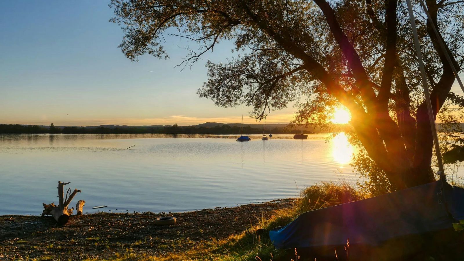 Hundefreundliche Campingplätze am Ammersee