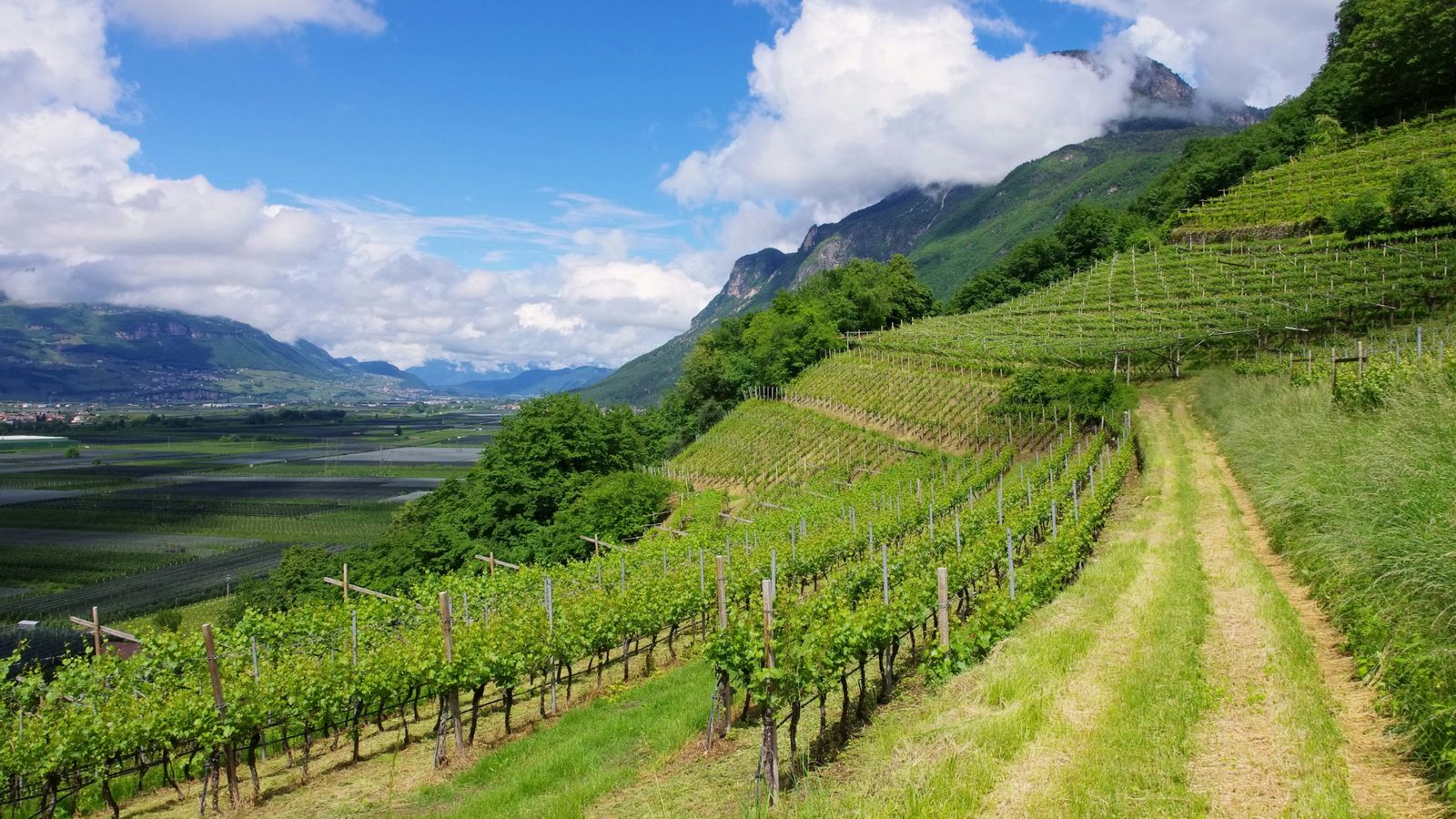 Hundefreundliche Hotels in der Trentino