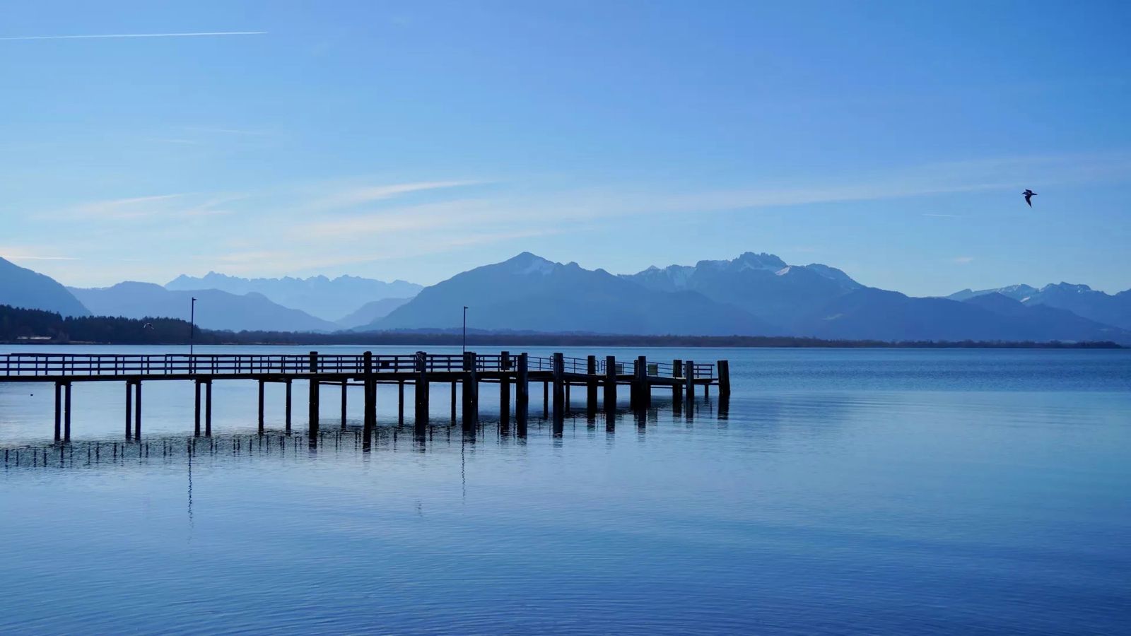 Hundefreundliche Hotels am Chiemsee