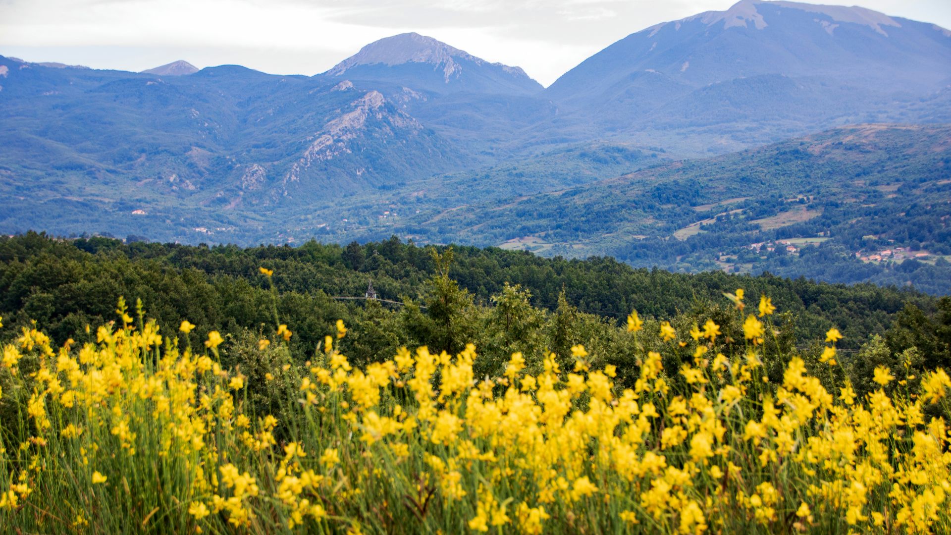 Hundefreundliche Hotels in der Nationalpark Pollino