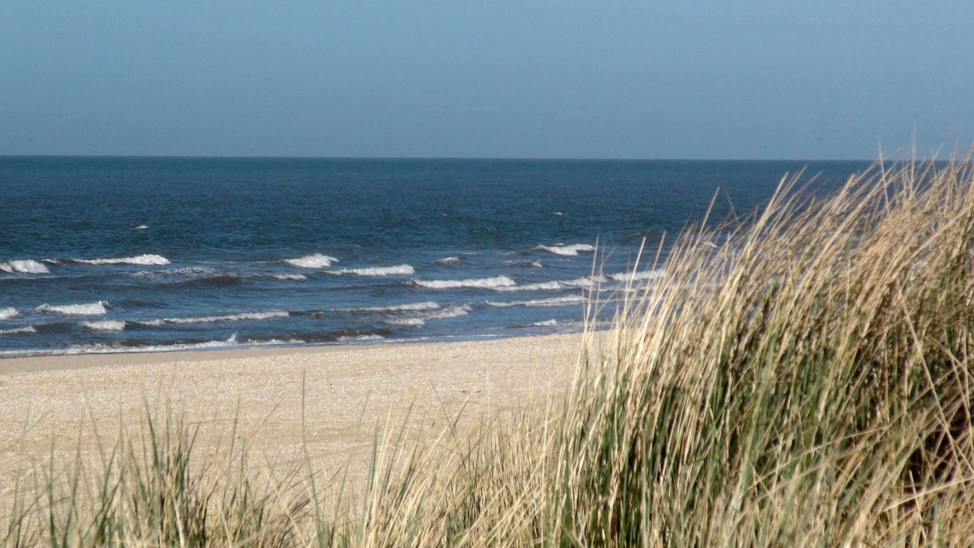 Hundefreundliche Orte in Norden