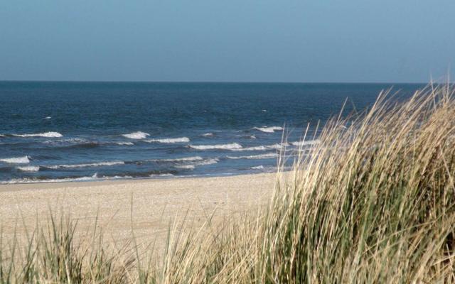 Hundefreundliche Orte in Norden