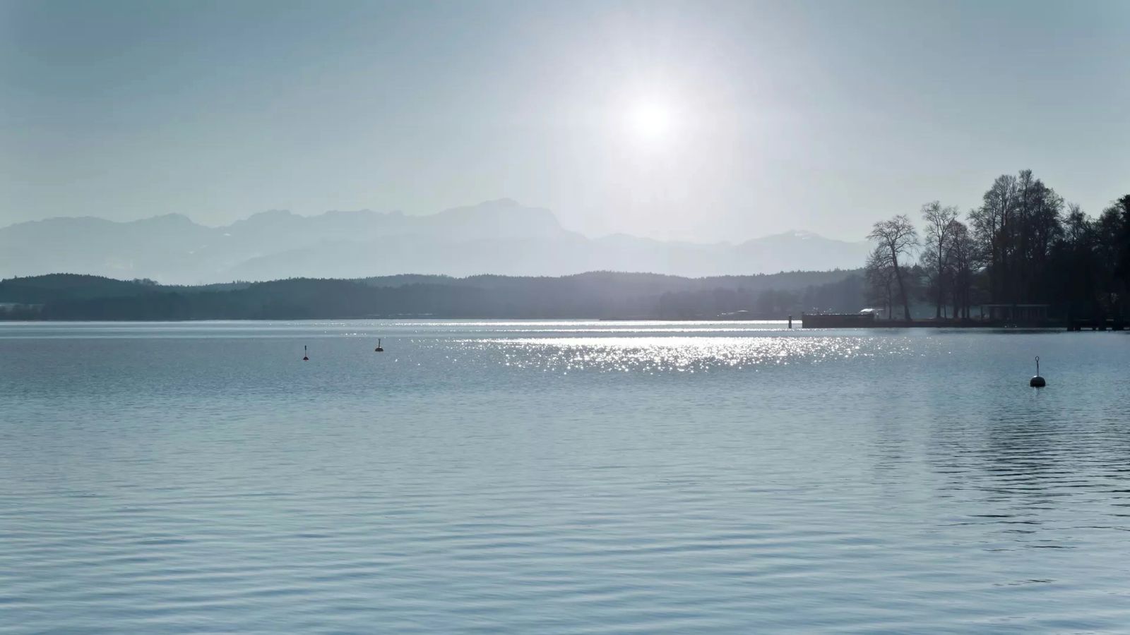 Hundefreundliche Campingplätze am Starnberger See
